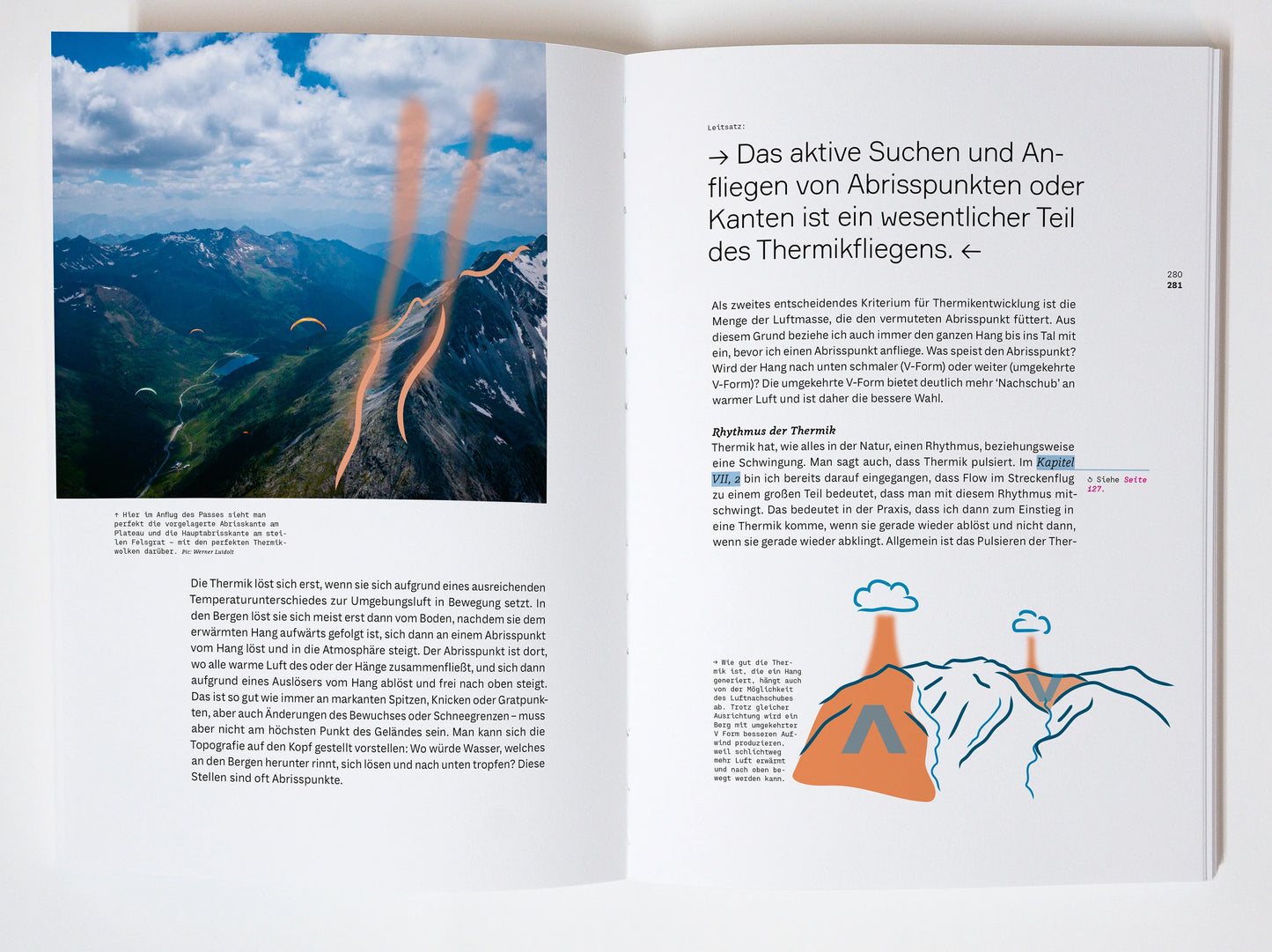 WANDERBIRD Strategy Buch by Paul Guschlbauer