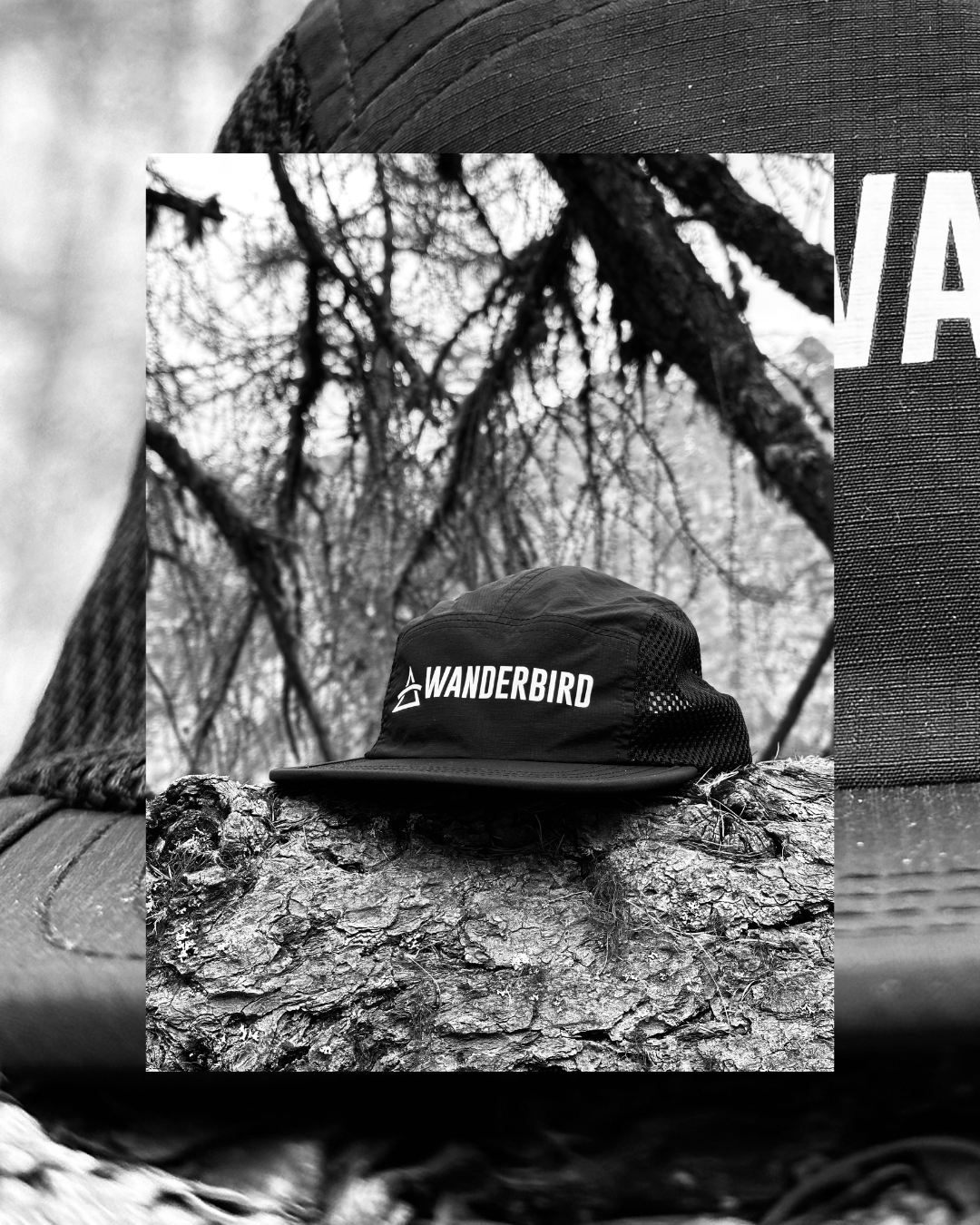 WANDERBIRD Adventure Cap