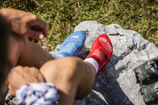 WANDERBIRD 'HIKE&FLY' Socks