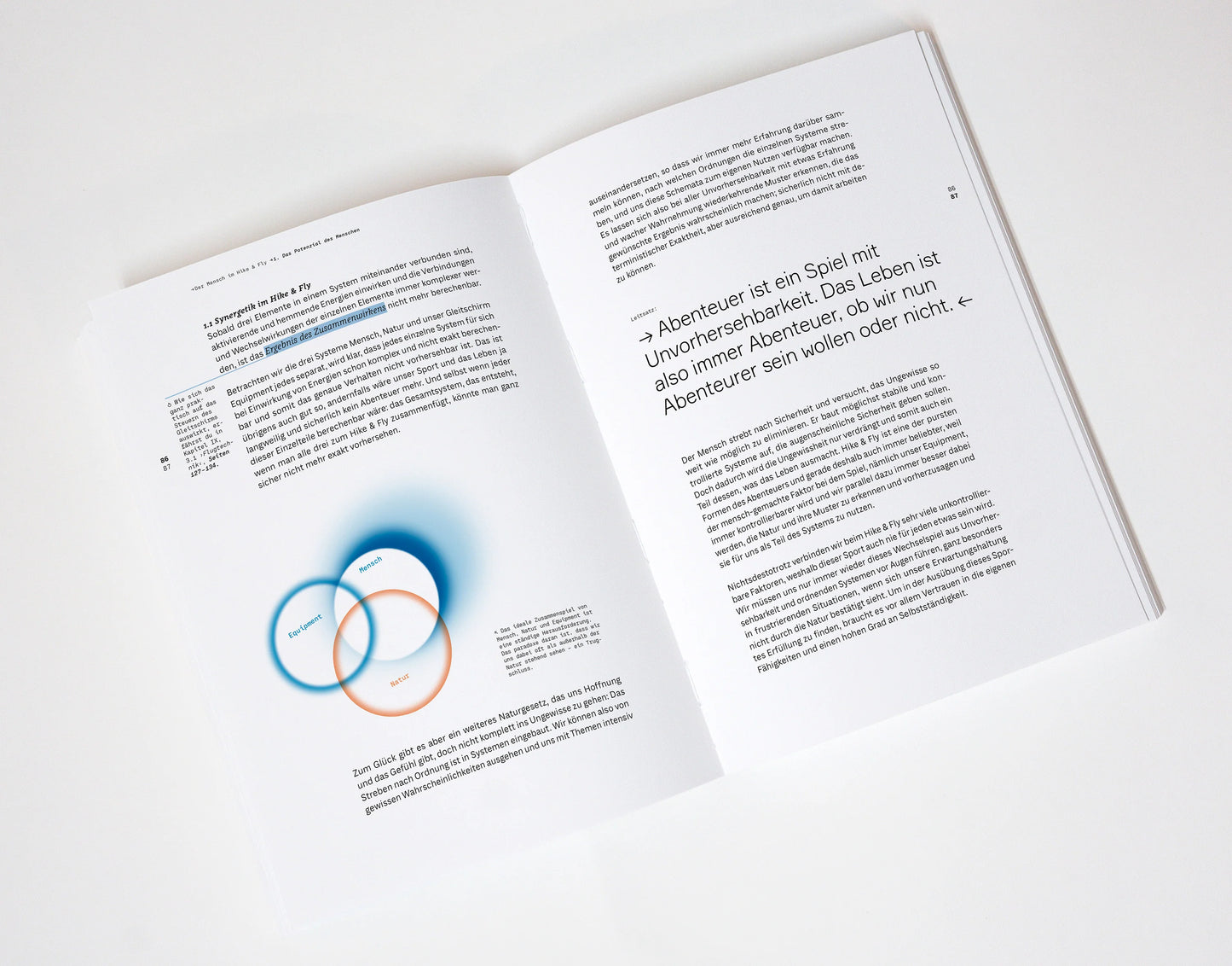 WANDERBIRD Strategy Buch by Paul Guschlbauer