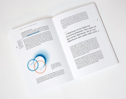 WANDERBIRD Strategy Buch by Paul Guschlbauer