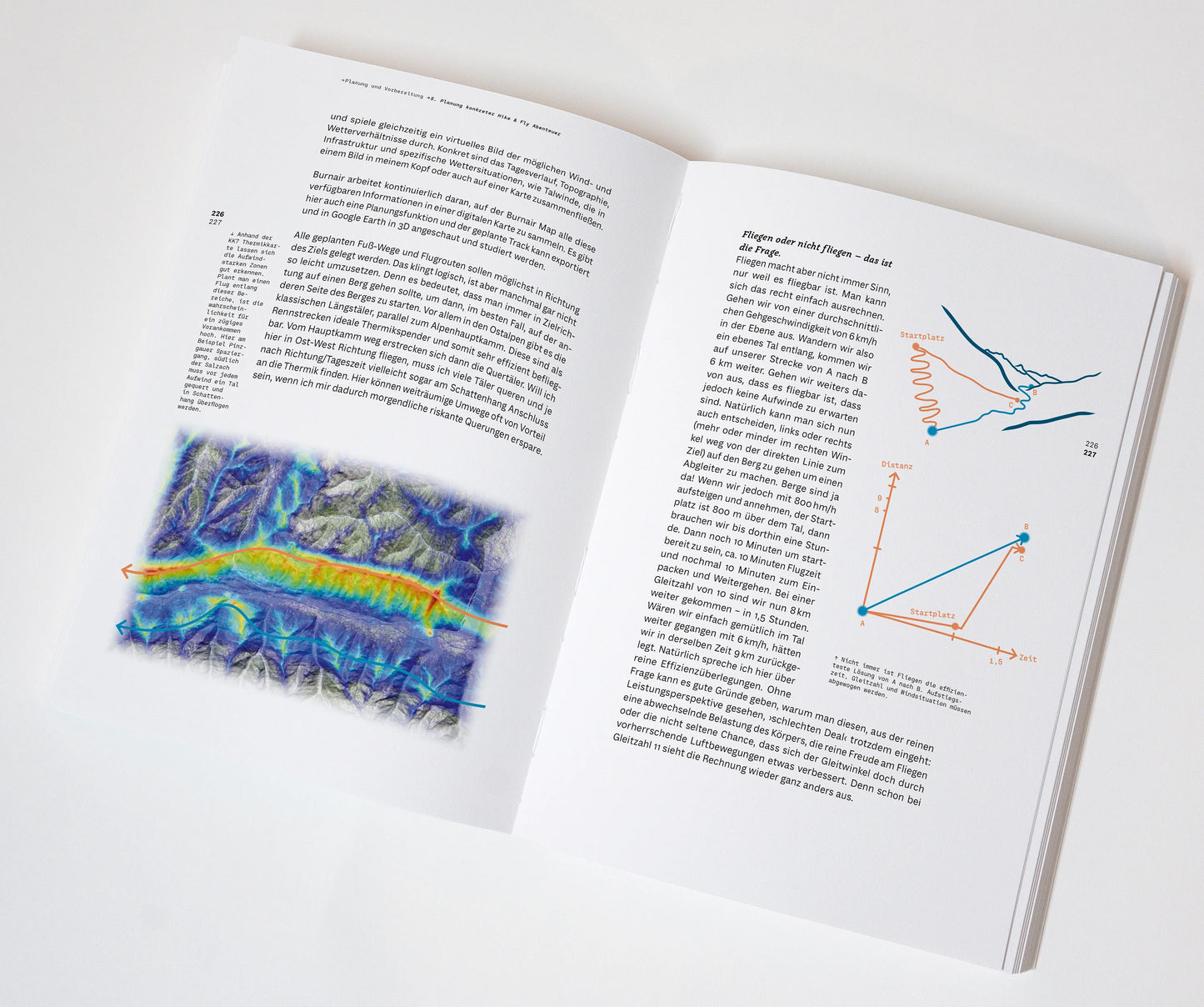 WANDERBIRD Strategy Buch by Paul Guschlbauer