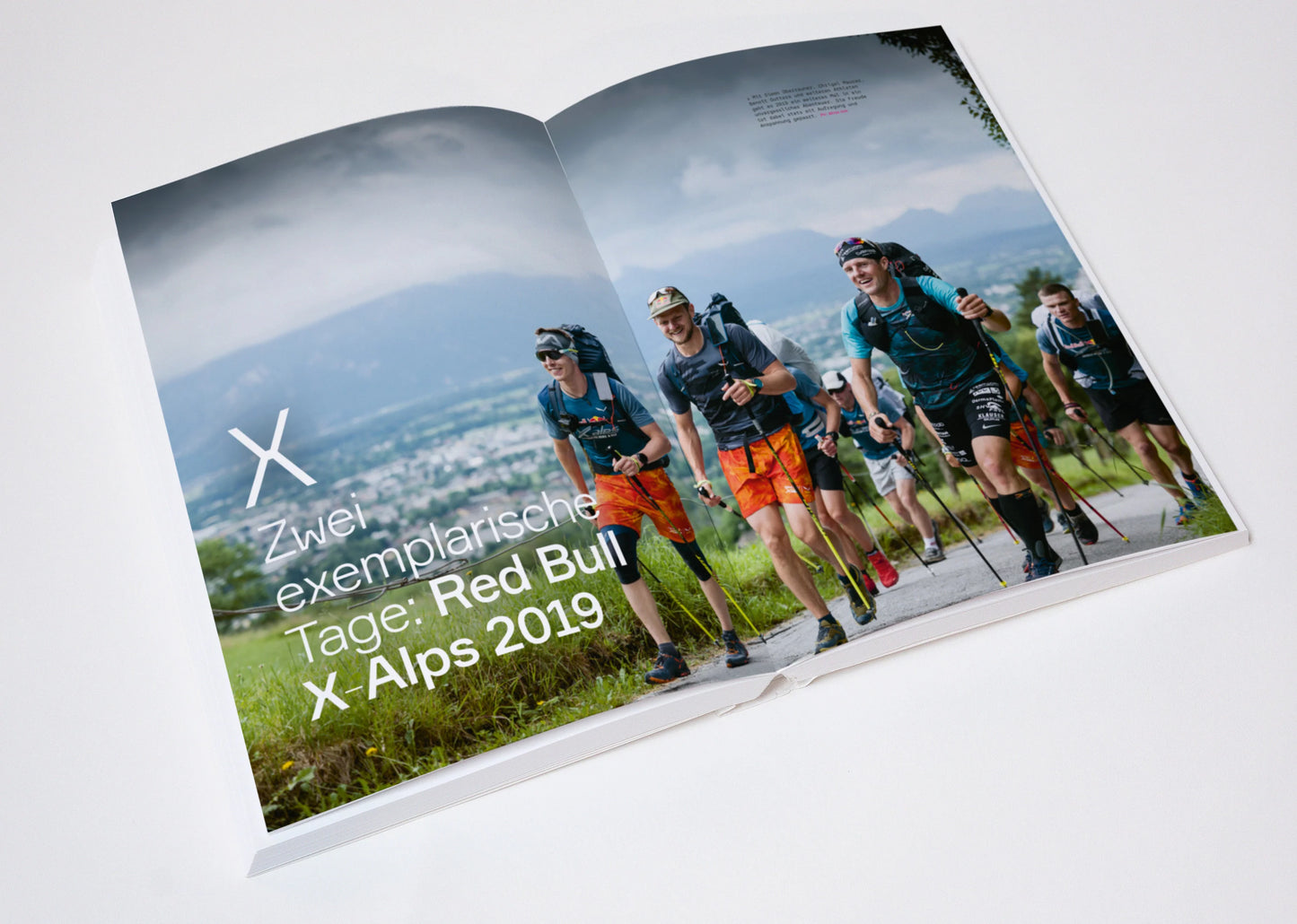 WANDERBIRD Strategy Buch by Paul Guschlbauer