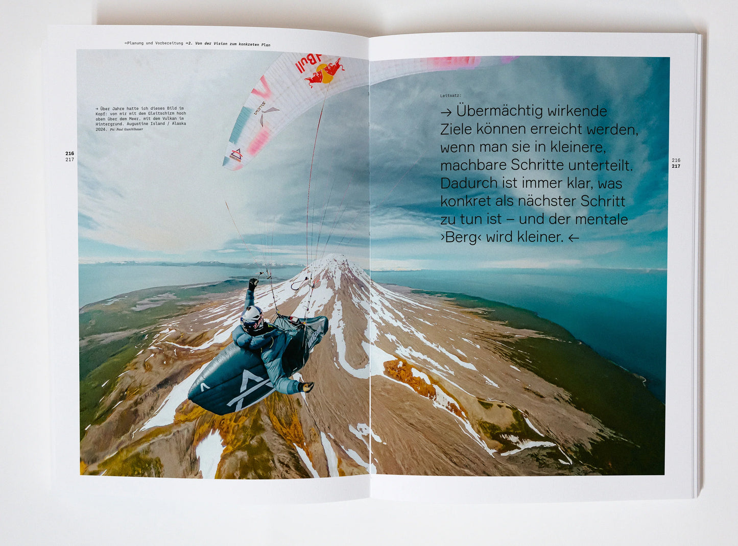 WANDERBIRD Strategy Buch by Paul Guschlbauer